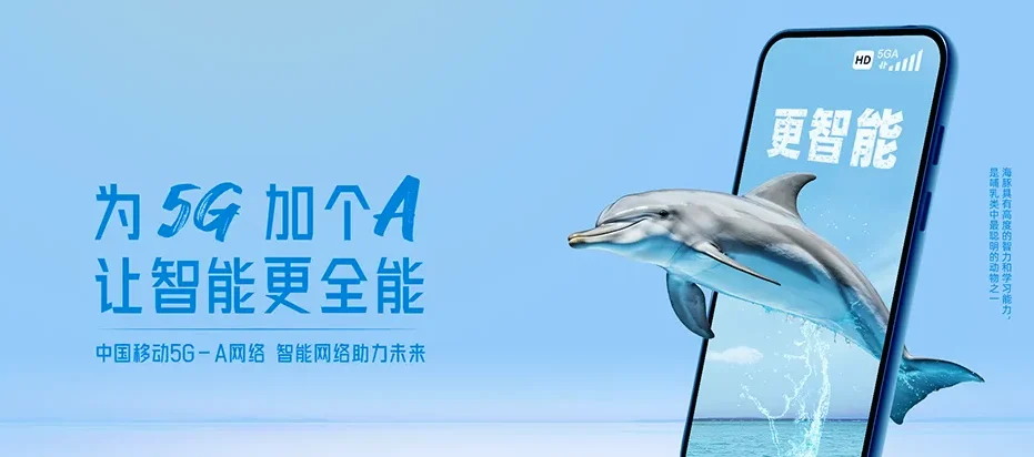 桥东区桥东区王快镇 移动宽带